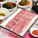 양지교통(주) 이미지