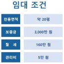 신트리미용실