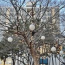 남산정사회복지관 이미지