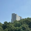 분당서울대병원 매복사랑니 발치 후기 (생각보다 힘들었던 회복 과정)