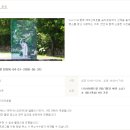 제주 신라호텔 스냅사진 숨비포토 | 투숙객 특별 서비스 솔직 후기