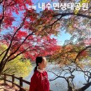 원수산 생태공원 공원입구 | 창원 진해 내수면 생태공원 단풍 실시간 주차 정보 &amp; 절정 시기 아직 늦지 않았어!