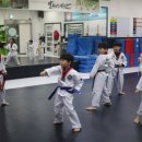 BOK 태권도 이미지