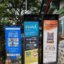 사랑이꽃피는작은도서관 | 강릉 선교장 배롱나무 연꽃 개화 명소 꽃구경 데이트 관광지 추천
