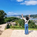 고창읍성패러글라이딩 | 고창 가볼만한곳 고창읍성 나들이 (입장료, 주차)