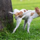 은성한의원 이미지