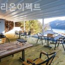 피그멜리온 이펙트 이미지