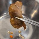 남동127 | 울산 중구 성남동 꼬불곱창과 냉동삼겹살 맛집 꼬불이네 본점 직접 다녀온 내 돈 내산 후기