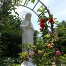 영화어르신의집 이미지