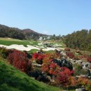 벙커구장 이미지