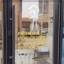 펫스티발 이미지