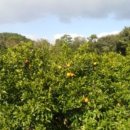 남원읍-81 이미지