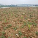 선영농원 - 김포시 도사로 120-31 | 선영농원