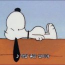 호시정 이미지