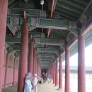 오월의수수꽃다리 | 경복궁 봄비 내린 날의 풍경