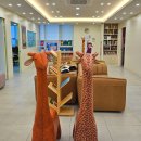 신경수소아청소년과의원 이미지