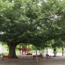 성지산공원 이미지