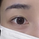 렌즈미(진해점) | 렌즈미 누오 초코 한달용 후기 / 데일리 렌즈