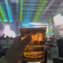 (주)디시에너지 | 퍼뮤스 양일 후기!(1일차)