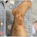 김성원한의원 이미지