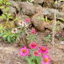 화가의정원 | 왓츠인마이블로그) 순천 화가의정원산책 진짜 산책하러 갔다온 후기