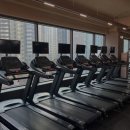 모조 피트니스 네이버블로그