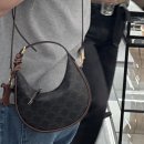 Celine Teen Lulu 셀린느 신상 틴 룰루백 구매 후기 120722FQM.04LU