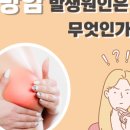마음편한유외과의원 이미지