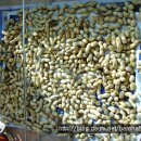 용헌농장. 이미지