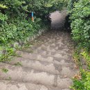 안덕면 감산리 346-1 이미지