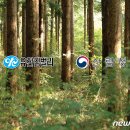 유한킴벌리 주식회사 이미지