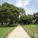 성주농원 이미지