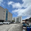 아쿠아춘천닭갈비 | [포항 문덕] 닭갈비집에 수족관이?! 아쿠아 춘천 닭갈비 솔직 후기 🐠🍗