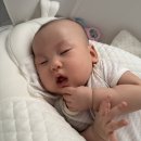 다올(14너8312) | 부랴부랴 대충대충 기록기록 🍀