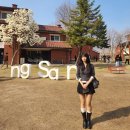 목련6단지 609동 앞 | 봄 목련 명소 서울 용산공원 미군기지 데이트 코스로 좋아요