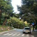 단양마늘부대찌개 | 단양 닭발 맛집 단양마늘부대찌개 수진매운닭발 포장 가능