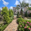 동광환승정류장 | 서귀포 키즈 독채펜션{두두 하우스} 다녀온 후기