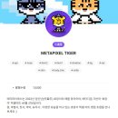 메타픽셀