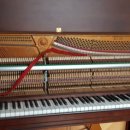 영창상회 이미지