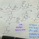 탈탄산 반응 이후 메커니즘 질문 이미지