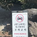 강정동-50 | [서귀포 강정동 점심] 귤밭사이로수제돈가스 법환점 : 정성 가득 무한리필 돈까스 후기