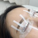 올리브영울산공업탑 | 울산 공업탑 속눈썹펌 마벨브로우