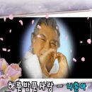 하룻밤 풋사랑/노래 나훈아 이미지