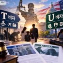 T 비자와 U 비자, 피해자 보호라는 목적은 같지만 길은 다릅니다. 이미지