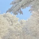 1100고지 휴게소 ↔ 제주시 방향 이미지