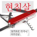 내포미장원 | 현침살 懸針殺 사주신살 날카로운 사람들