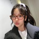 하니캣 이미지
