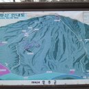 설천면114 Daum카페