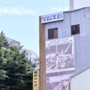 제주갈치고등어 | 제주 성심조림 갈치조림, 고등어구이 내돈내산 후기