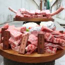 로타리이용재료